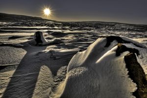 Alien Landscape.jpg